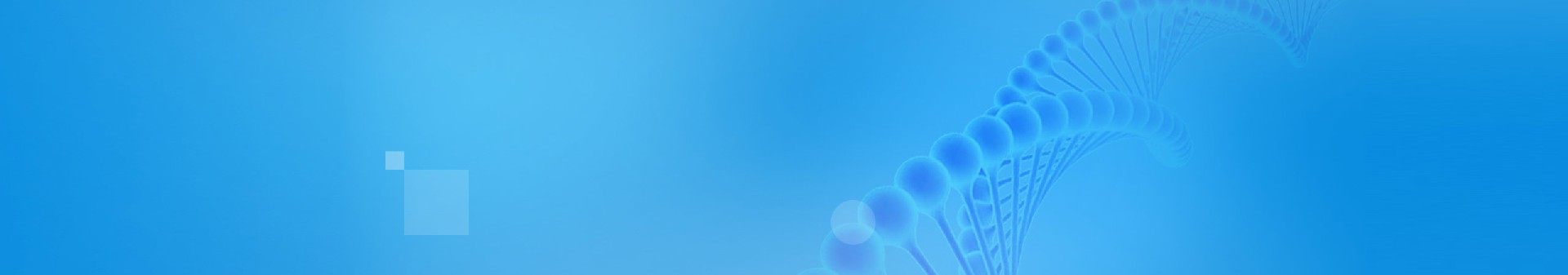 Company Profile