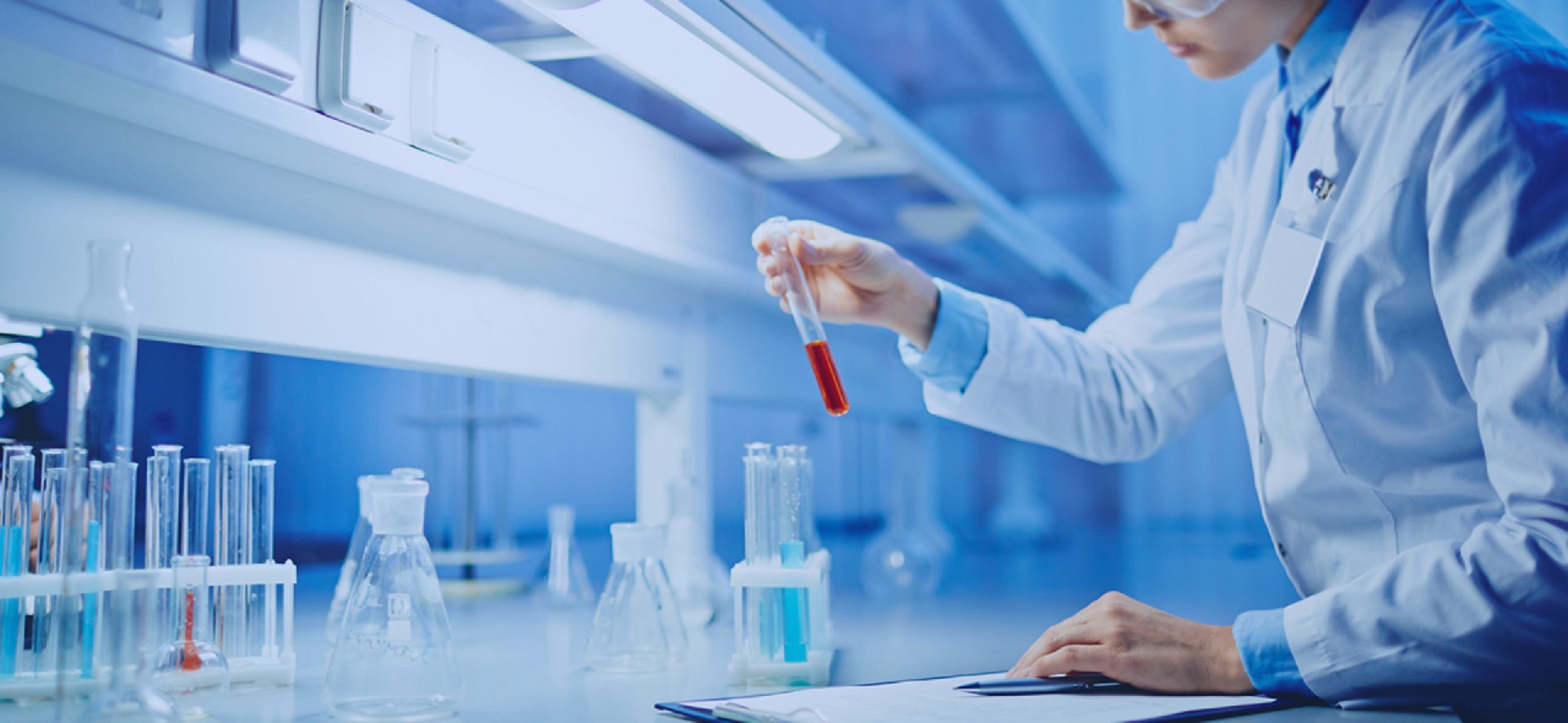 Focusing on fine chemicals